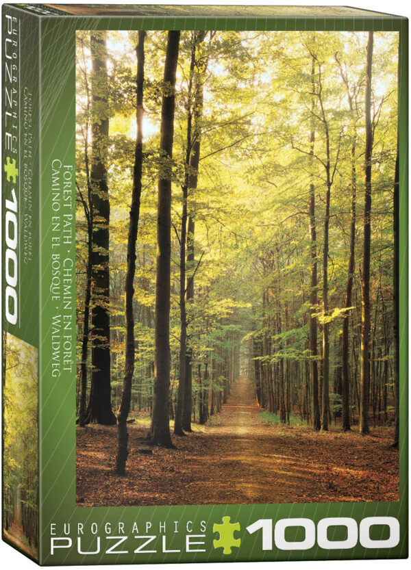 Forest Path Puzzle