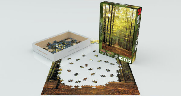 Forest Path Puzzle - Image 2