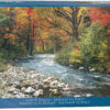 Forest Stream Puzzle