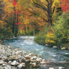 Forest Stream Puzzle - Image 3