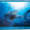 Hungry Shark Puzzle
